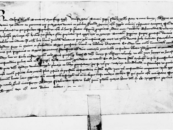 Stadtrechtsurkunde 1291